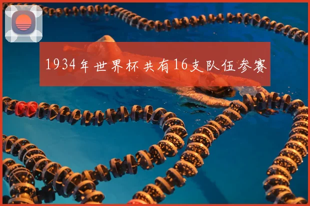 1934年世界杯共有16支队伍参赛