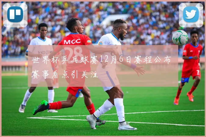 世界杯乒乓球赛12月6日赛程公布 赛事看点引关注