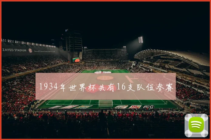 1934年世界杯共有16支队伍参赛