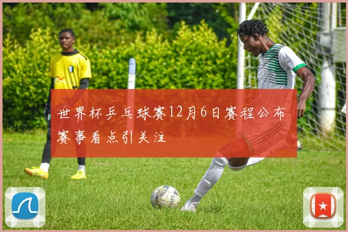 世界杯乒乓球赛12月6日赛程公布 赛事看点引关注