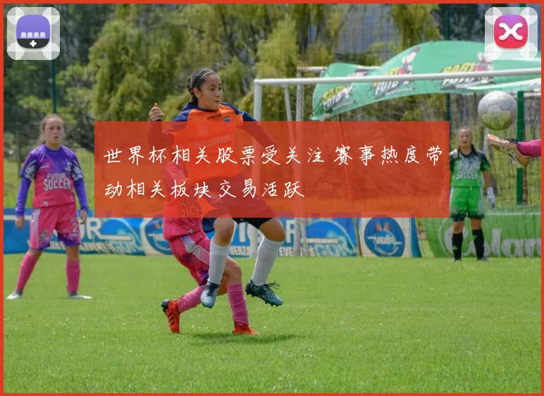 世界杯相关股票受关注 赛事热度带动相关板块交易活跃