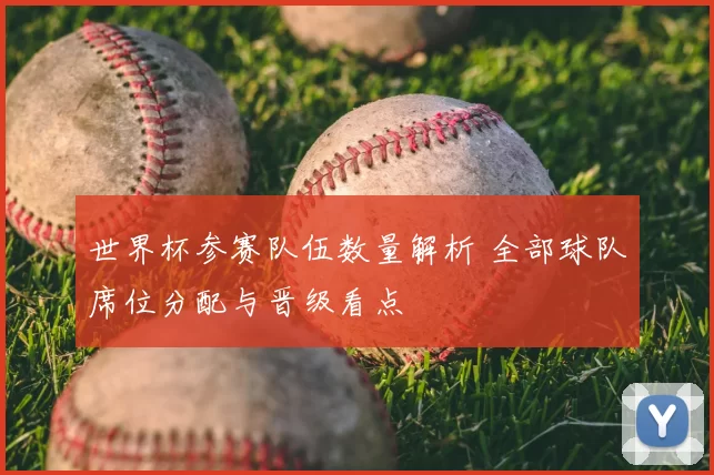 世界杯参赛队伍数量解析 全部球队席位分配与晋级看点