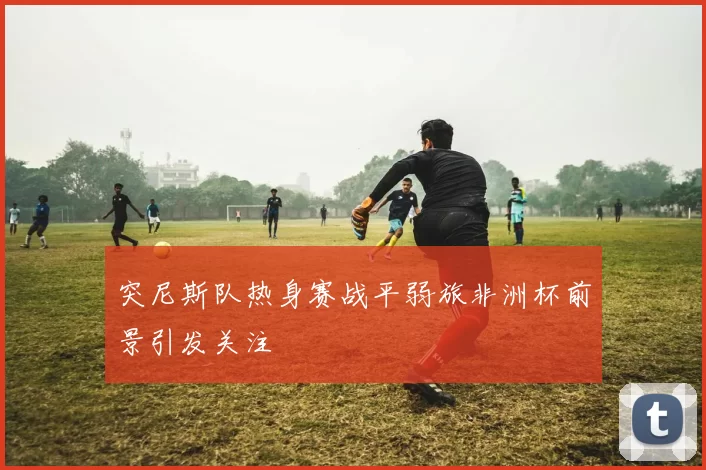 突尼斯队热身赛战平弱旅非洲杯前景引发关注