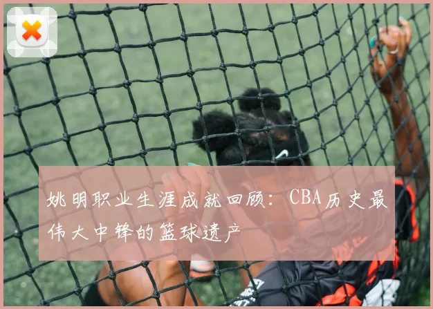 姚明职业生涯成就回顾：CBA历史最伟大中锋的篮球遗产
