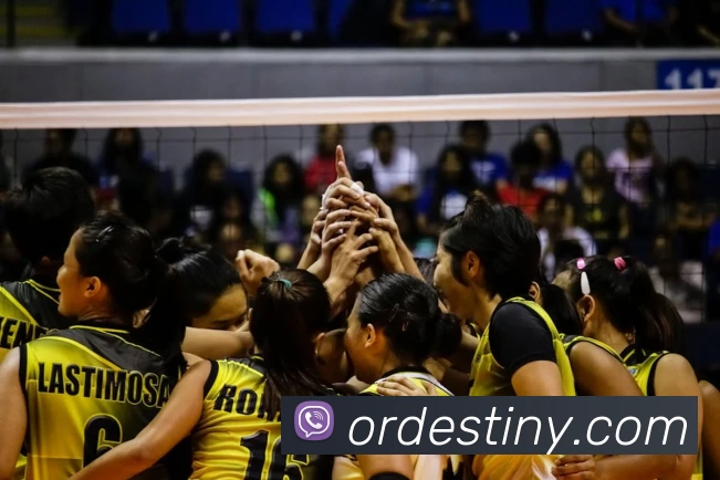 星空体育链接入口品牌故事